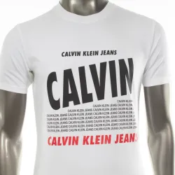 scale up printed logo